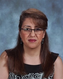 Reyhaneh Khaze: A math teacher’s road to success